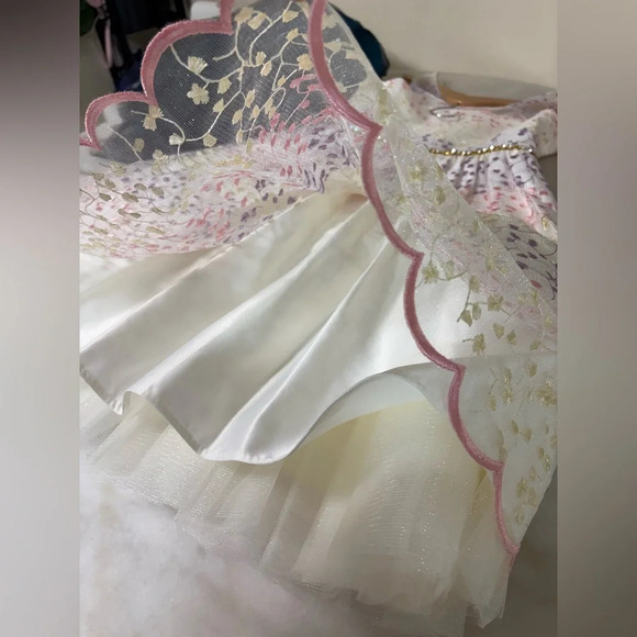 Tulle Girls Dress Size10 - Picture 10 of 13